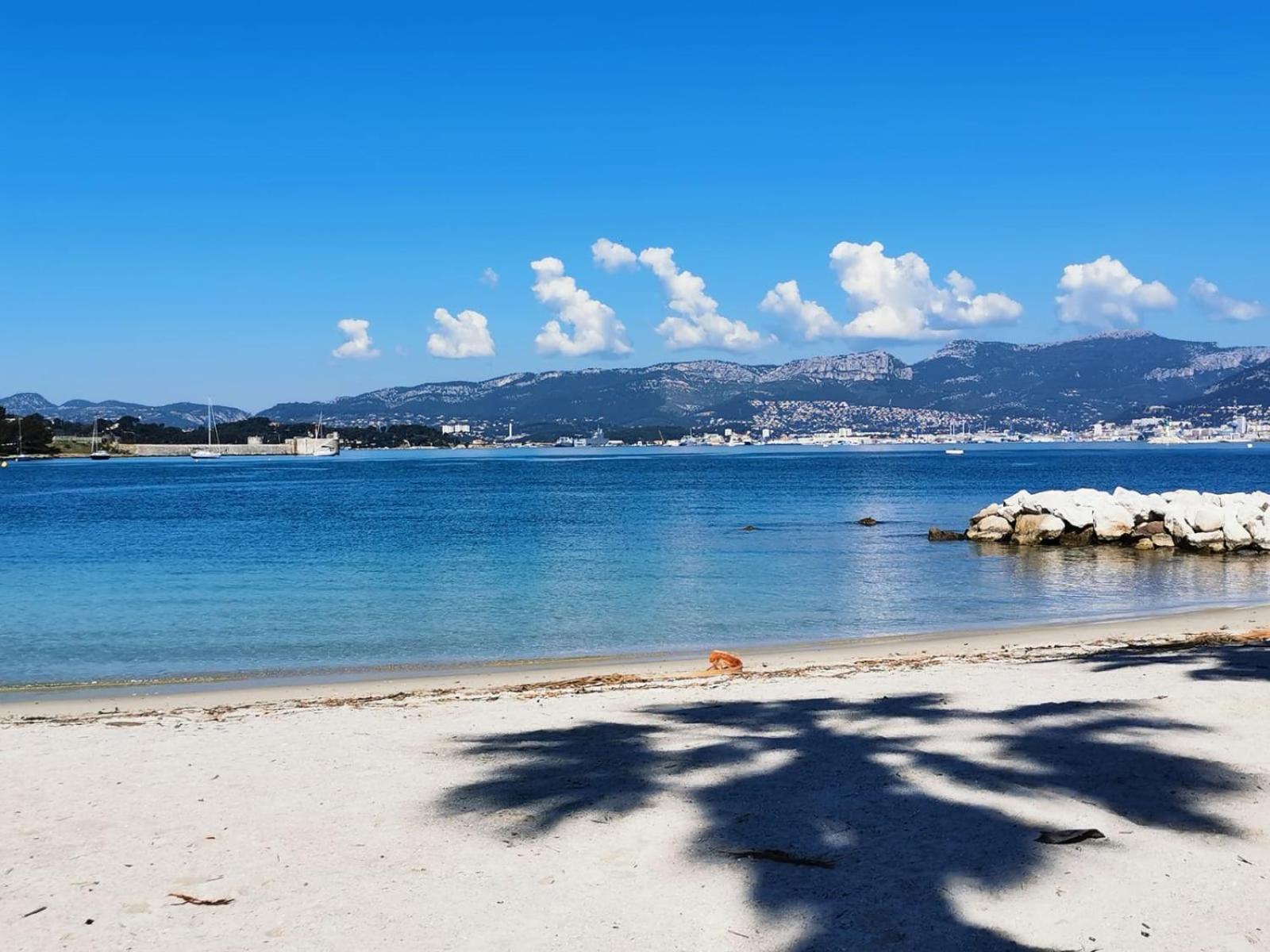 Petit Paradis - St Mandrier Village Apartment Saint-Mandrier-sur-Mer