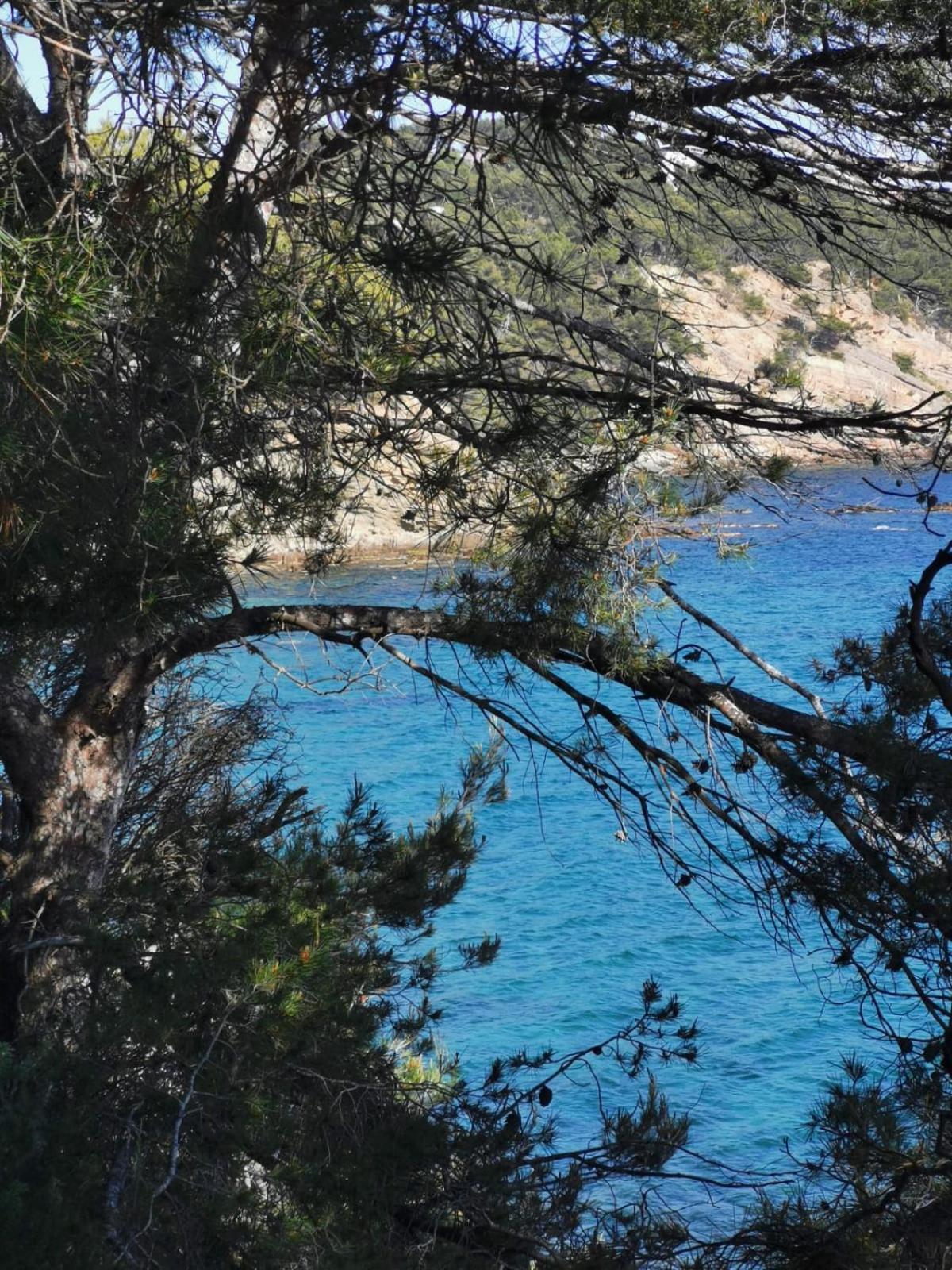 Petit Paradis - St Mandrier Village
