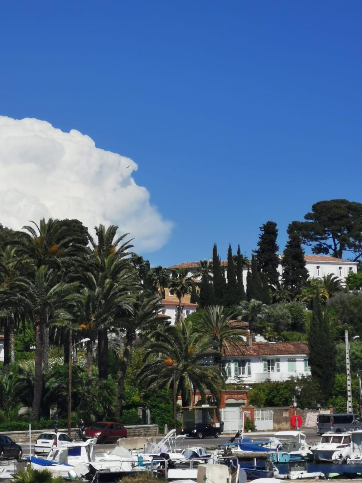 Apartment Petit Paradis - St Mandrier Village