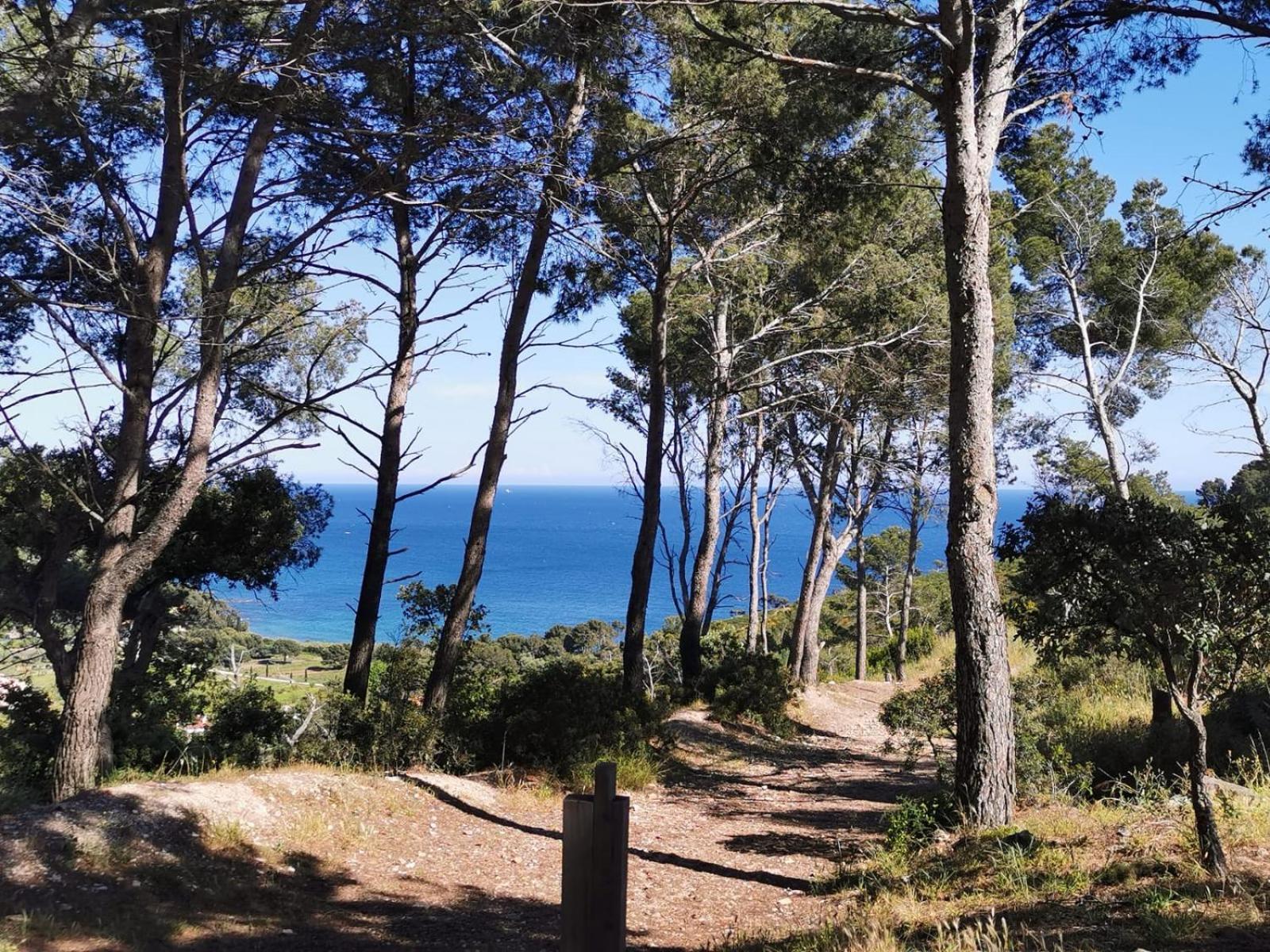 Apartment Petit Paradis - St Mandrier Village *